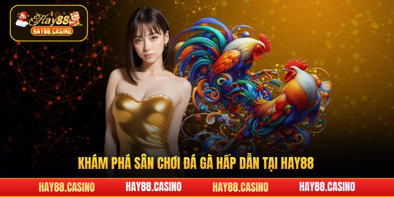 Khám phá sân chơi đá gà hấp dẫn tại Hay88