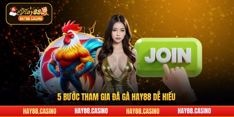 5 bước tham gia đá gà Hay88 dễ hiểu